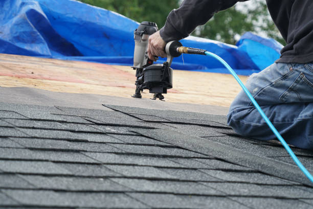 Professional Roofing Contractor in Hamilton City, CA