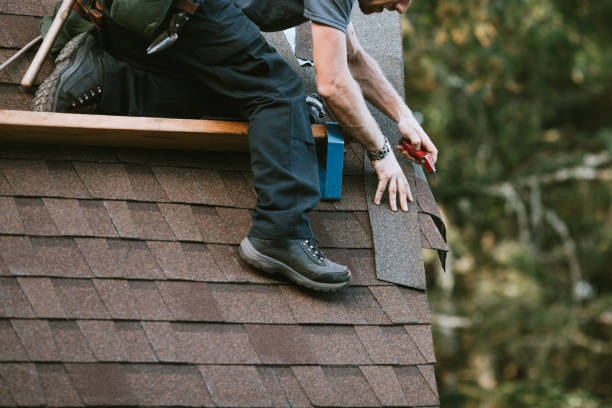 Best Metal Roofing Contractor  in Hamilton City, CA