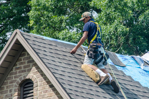 Best Flat Roof Repair Services  in Hamilton City, CA